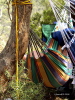 106282567_558937f511